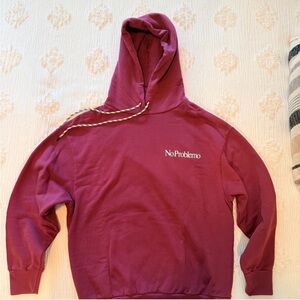 Aries No Problemo Hoodie